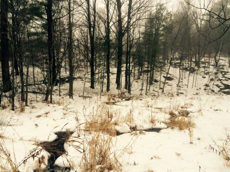 One of the many creeks