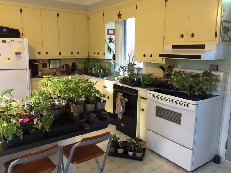 getting ready for the market