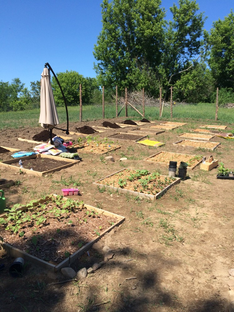 square foot gardening