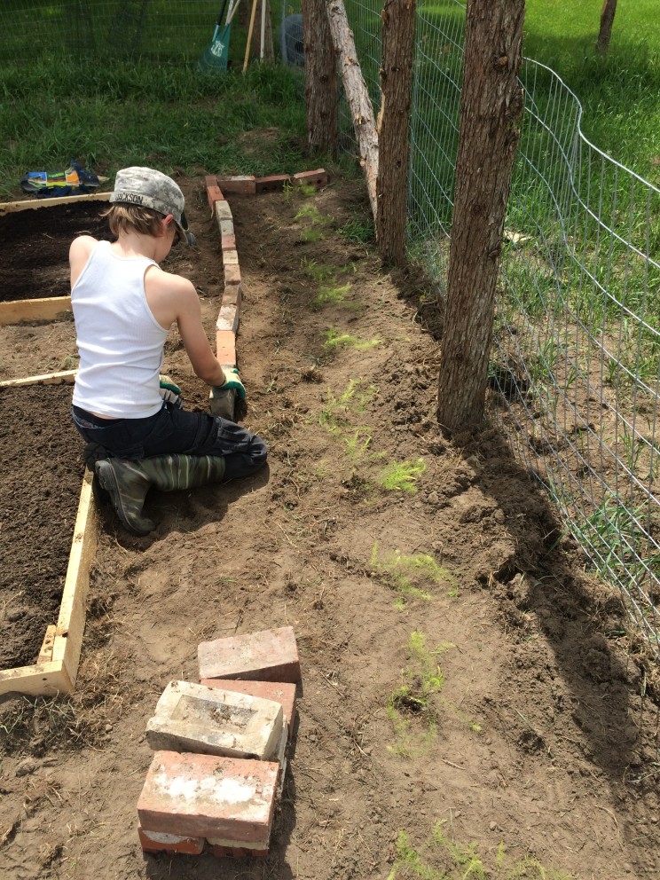 brick wall for asparagus