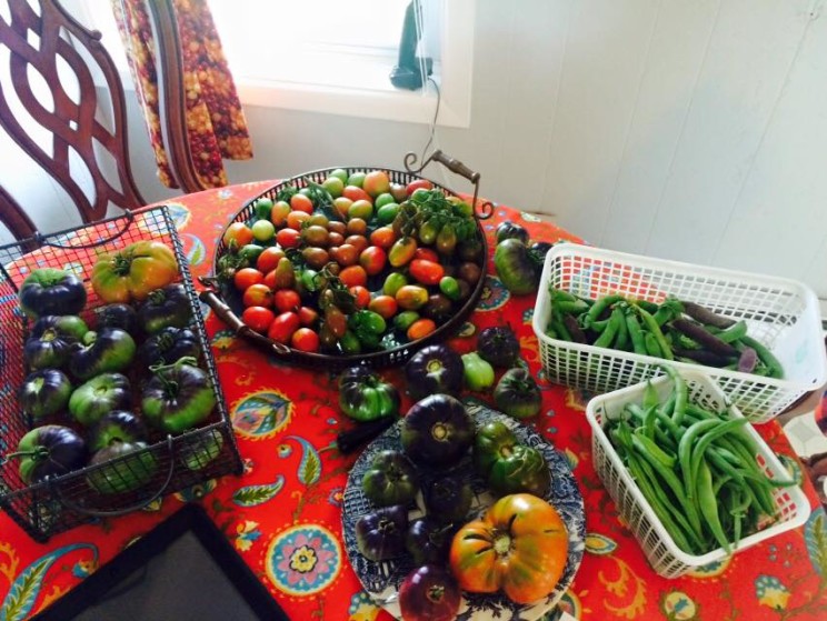 11813263_938034842926119_9157297070973294024_n